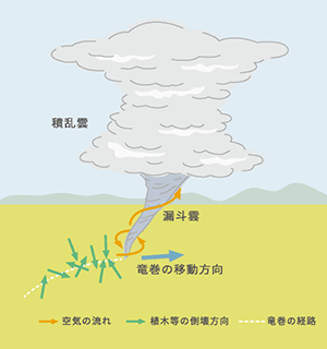 飛来物に注意(外出は控える)