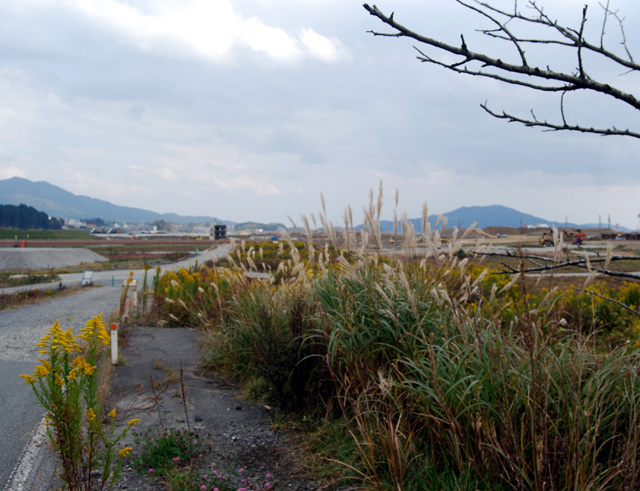 陸前高田市