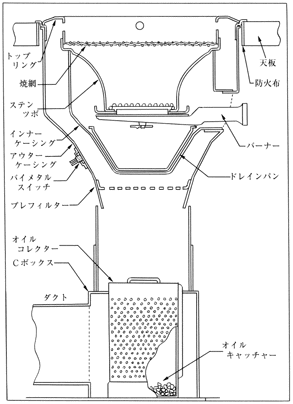 p63-1