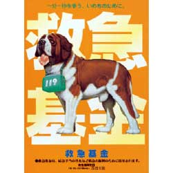 救急基金